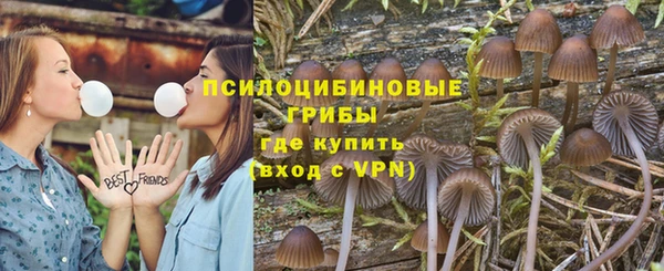 герыч Осинники