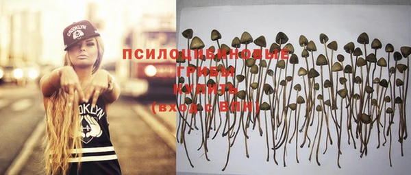 герыч Осинники
